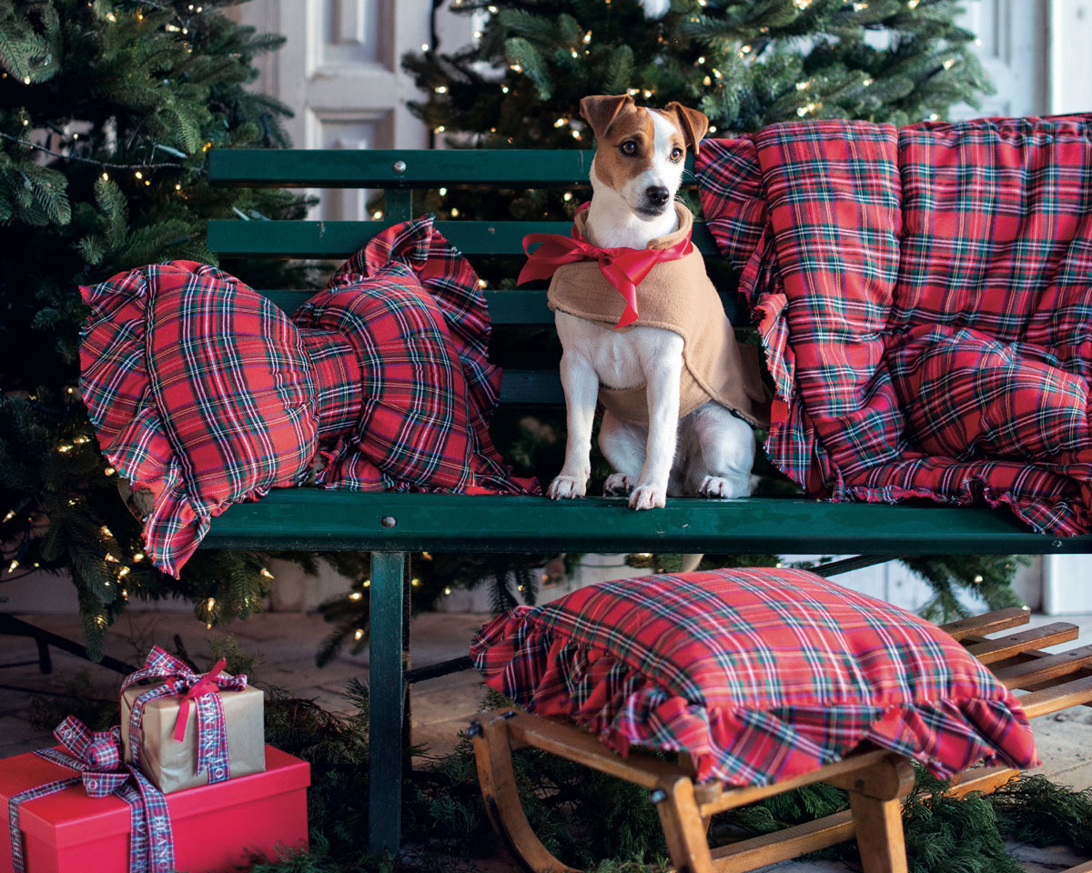 Blanc MariClo' - Natale tartan dog