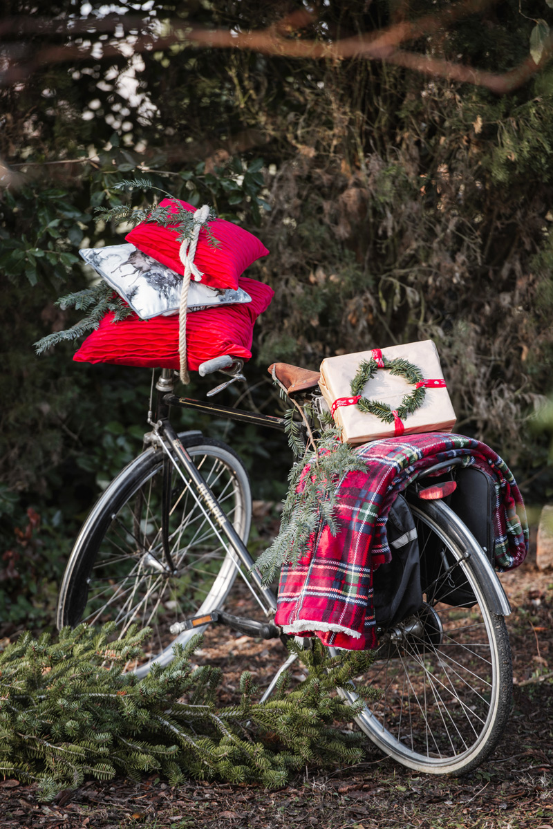 Blanc MariClo' - Plaid Christmas tartan